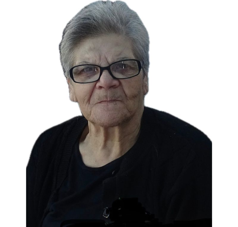 Encarnação Albuquerque Ferreira Pais