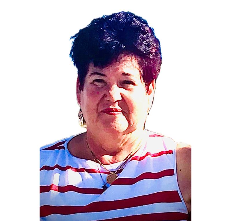 Maria de Lurdes Lopes Monteiro Pinto